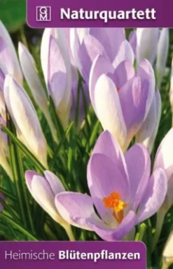 Heimische Blütenpflanzen (Kartenspiel)