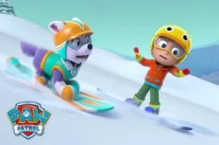 DVD Paw Patrol - Einsatz Im Schnee -Spielzeugladen 10323610 05