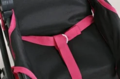 Kombi-Puppenwagen Ruby - Theodor Carbon -Spielzeugladen 15927185 04