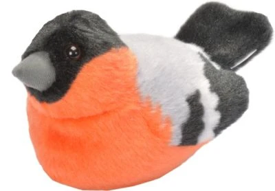 Wild Republic Singvogel Gimpel 1 Wild Republic Singvogel Gimpel