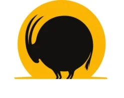 UNI-TOYS® ROLLIN' WILD - Leopard, Klein - 19 Cm (Länge) - Plüschtier Von Uni-Toys Kuscheltiere -Spielzeugladen 23520324 04