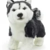 UNI-TOYS® Husky Welpe Schwarz, Stehend (ohne Leine) - 21 Cm (Länge) - Plüsch-Hund - Plüschtier Kuscheltiere