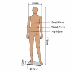 Mucola Schaufensterpuppe Schaufensterfigur Schneiderpuppe 175CM Modepuppe Mannequin 11 Mucola Schaufensterpuppe Schaufensterfigur Schneiderpuppe 175CM Modepuppe Mannequin -Spielzeugladen 26966486 06